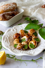 Bourguignonne snail with lemon. Marble background. French cuisine.