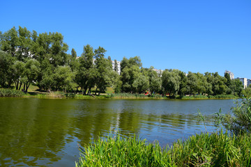 Green forest around the lake in nature.