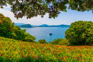 Amazing landscape with colorful blooming flowers and sea view.