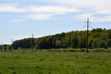 Fototapeta na wymiar High-voltage power line against a forest and blue cloudy sky