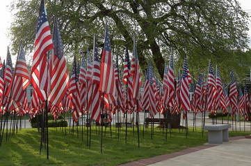 Memorial Day in USA - American flags arranged in rows on Fort Square, Quincy, Massachusetts