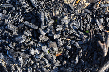 Coals after a burned fire on a sunny day in the summer.