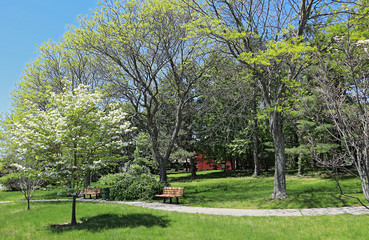 Small neighborhood park in residential area of Quincy, Massachusetts, at springtime.