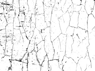 Vector crack texture. Grunge crash scratch. Isolated broken old damage rust. Overlay noise and grain dry texture.