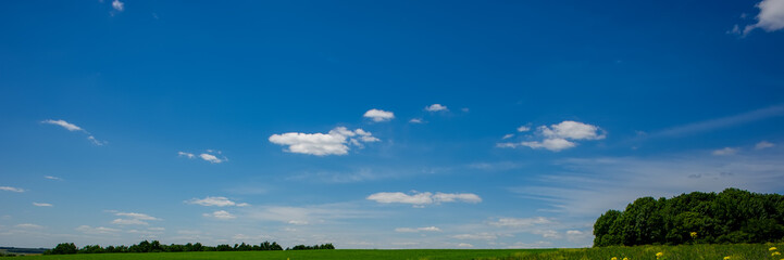 white clouds against the sky and deciduous forest on a sunny day.