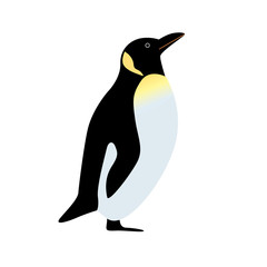 ペンギン　イラスト © matsu