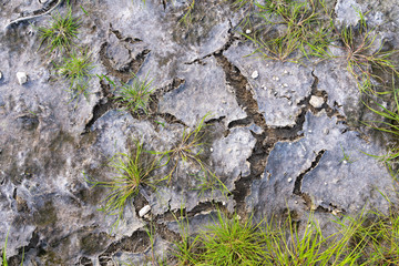 Obraz premium Dry salt lake wetland shoreline textured background