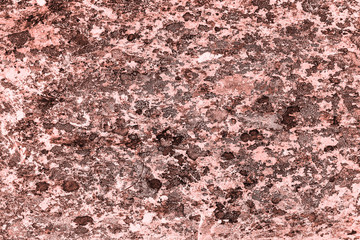 Vintage pink background. Rough painted wall of living coral color. Imperfect plane of beige colored. Uneven old decorative toned backdrop of beige tint. Texture of pink hue. Ornamental stony surface.