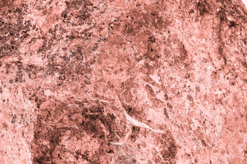 Vintage pink background. Rough painted wall of living coral color. Imperfect plane of beige colored. Uneven old decorative toned backdrop of beige tint. Texture of pink hue. Ornamental stony surface.