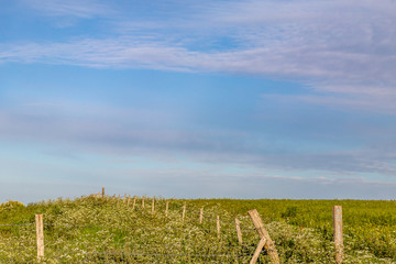 Fototapeta na wymiar The Sussex countryside with a blue sky overhead