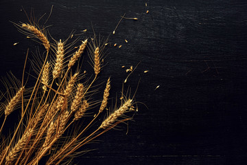 Ears of wheat and grains