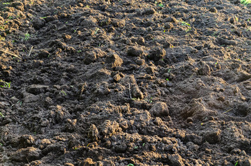 The black fertile ground texture