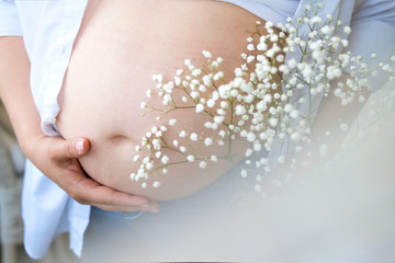 Pregnant belly close-up. A sprig of hypsophyls in his hand. Jeans, an open shirt and a white top. Pregnancy maternity concept