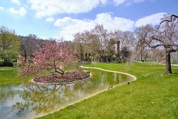 Fototapeta na wymiar Scenic view of garden with pond and blossom tree near Eiffel Tower in old touristic historic city Paris. Beautiful summer happy look of part of nature in ancient capital of France
