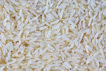 Rice is a healthy food, cereal plant, agricultural cereal crop. In cooking rice popular side dish, boiled porridge and cakes, casseroles, cutlets, puddings, stuffed vegetables.