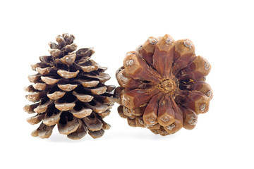 two cones isolated on white background