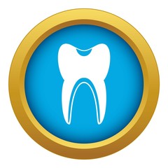 Tooth icon blue vector isolated on white background for any design