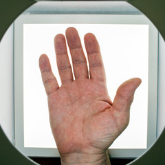 male hand on white square background