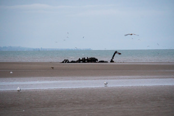 Schiffswrack am Strand bei Ebbe