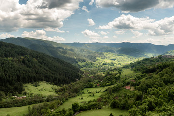 Naklejka premium Landscape of Zlatibor Mountain. Green meadows and hills under blue sky with clouds in springtime