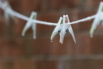 Wet Pegs on a line with a brick background