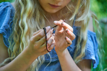  Adorable child blond girl holding a earthworm in the garden. Selective focus