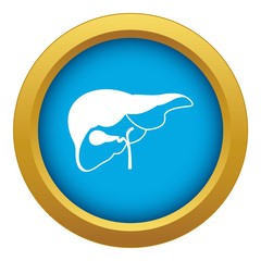Liver icon blue vector isolated on white background for any design