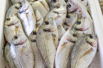 Top view of Dorado fish at a market in Italy