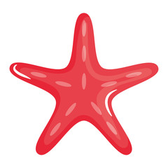 starfish animal shell isolated icon