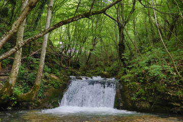 Save the environment, beautiful green park and forest with waterfall and small pure drinkable water creek, Romania, Bigar Cascade Falls, near Poneasca city, 04 June 2019
