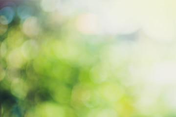 Defocused green nature background. Blured. Out of focus.