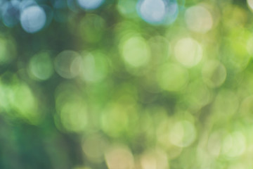 Defocused green nature background. Blured. Out of focus.