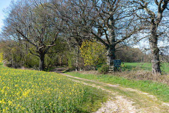 Feldweg im Fr&uuml;hling in Schleswig-Holstein