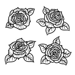 Vector hand drawn black and white set of roses in the engraving style on white background.