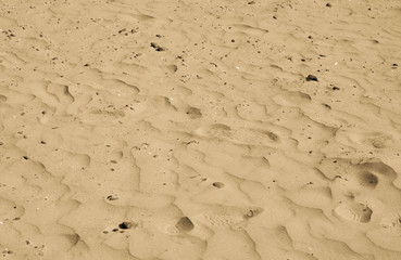 gold sand 