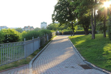 road in the park