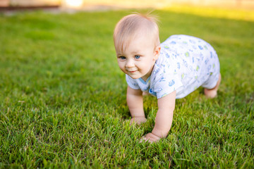 Summer portrait of happy funny baby boy outdoors on grass in field. Child learning to crawl