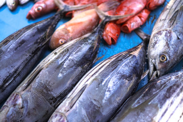 Fish market in Asia. Catching sea and ocean animals in the Indian Ocean. Tuna on shelves for sale....