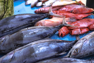 Fish market in Asia. Catching sea and ocean animals in the Indian Ocean. Tuna on shelves for sale. Exotic background
