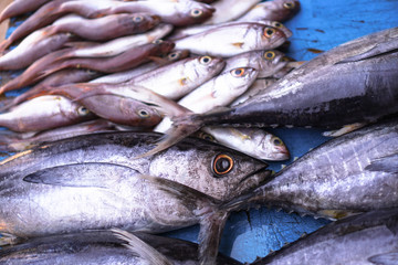 Fish market in Asia. Catching sea and ocean animals in the Indian Ocean. Tuna on shelves for sale. Exotic background