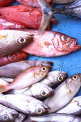 Fish market in Asia. Catching sea and ocean animals in the Indian Ocean. Tuna on shelves for sale. Exotic background