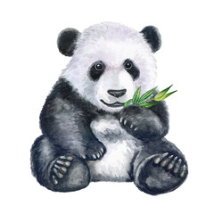 Cute panda with bamboo isolated on white background. Bear. Watercolor. Illustration. Clip art. Hand painted. © Yuliia