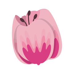 flower blossom icon cartoon isolated