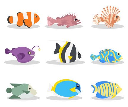 Exotic ocean fish flat vector illustrations set