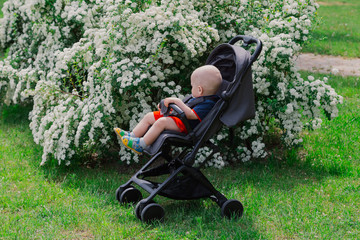 Obraz na płótnie Canvas A little boy sits in a baby carriage by a beautiful bush on a sunny day.