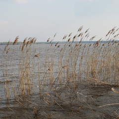 Ufer See