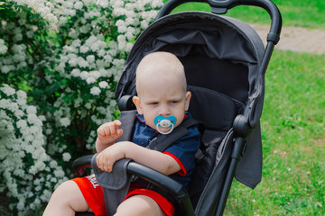 A little boy sits in a baby carriage by a beautiful bush on a sunny day.