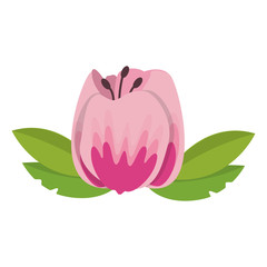 flower blossom icon cartoon isolated