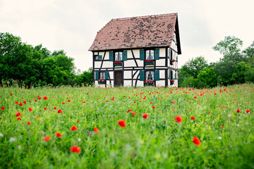 Alsatian House with Poppy Flower Field