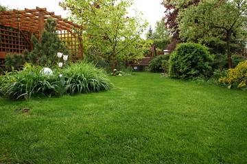 Fototapeta Trawnik w ogrodzie obraz